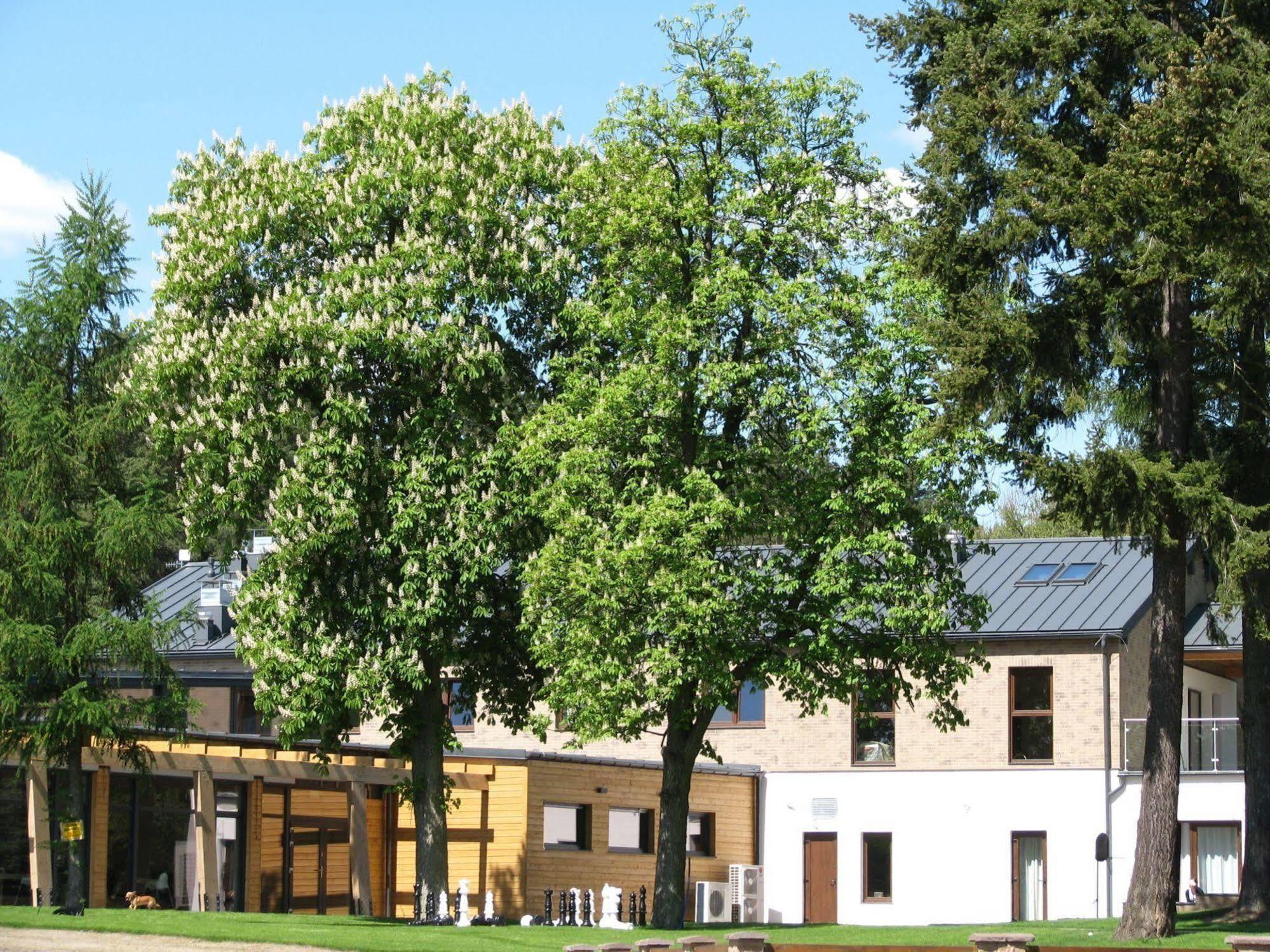 Rezydencja Nad Jeziorem Pestkownica Exterior photo